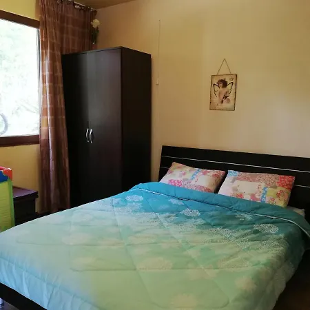 Casa Verde Pensionat *