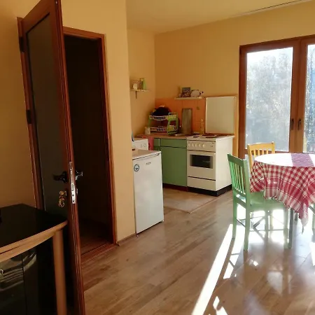 Pensionat Casa Verde *
