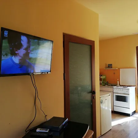Pensionat Casa Verde Sinemoretz