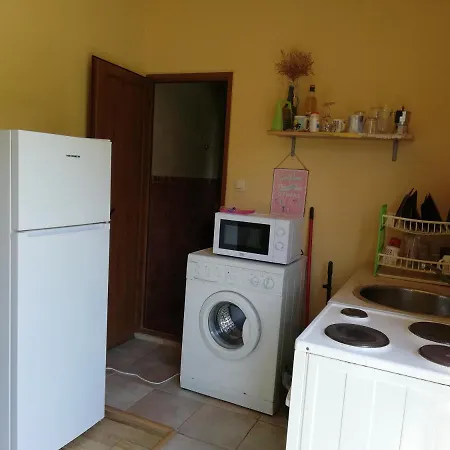 Pensionat Casa Verde Sinemoretz