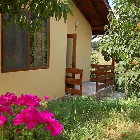 Pensionat Casa Verde Sinemoretz