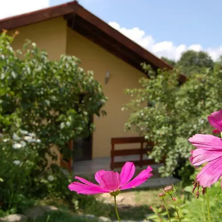 Pensionat Casa Verde *
