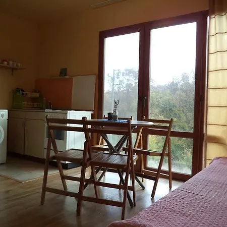 Pensionat Casa Verde