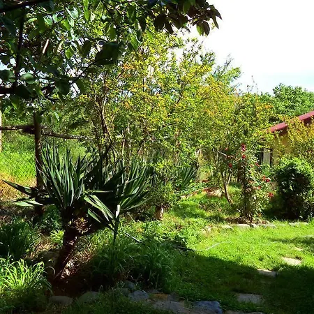 Pensionat Casa Verde *
