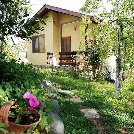 Pensión Casa Verde *